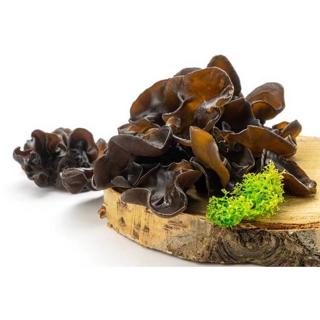 

Jamur Kuping 250gr