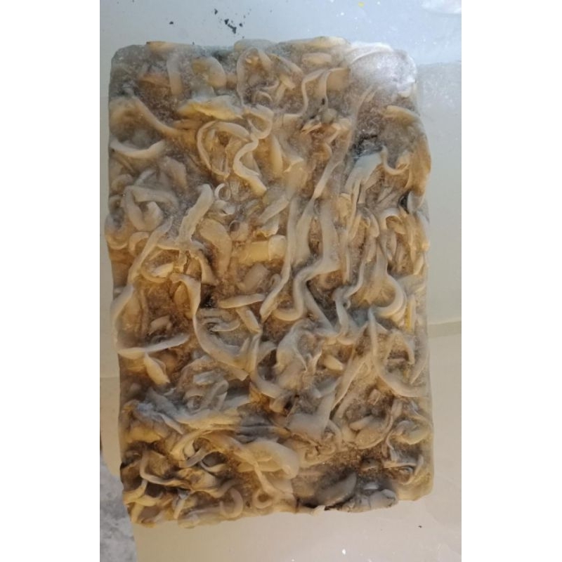 

Tetelan cumi kemasan 1kg