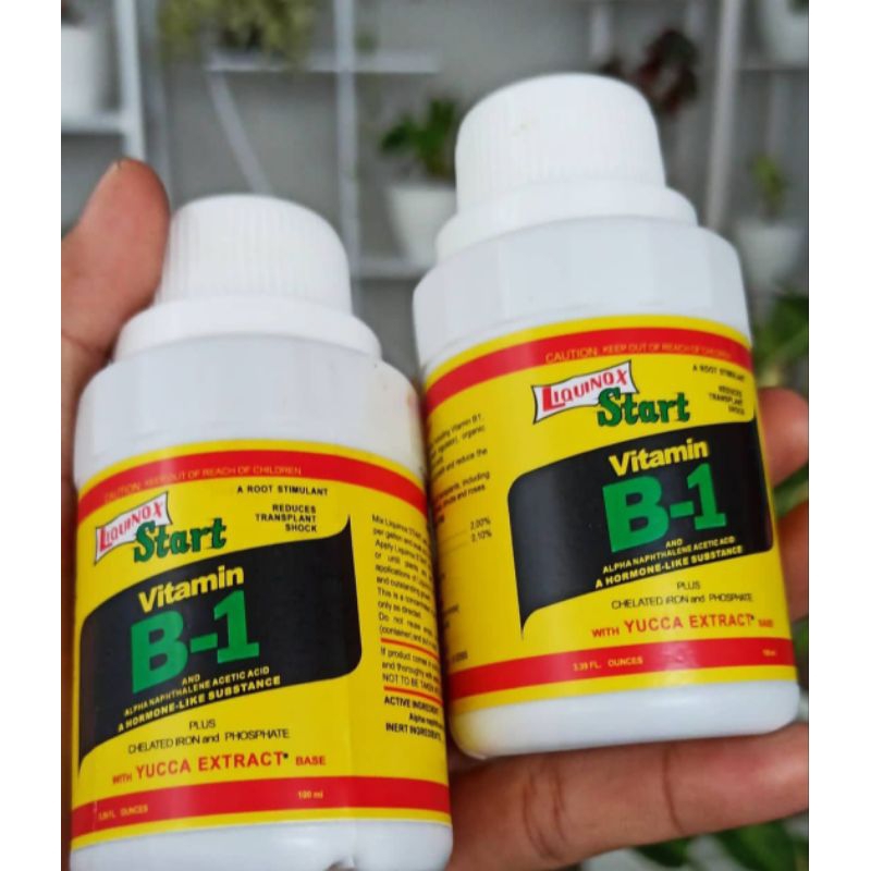 VITAMIN B-1 LIQUINOX