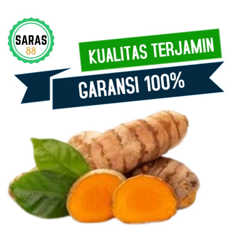 

Sayuran segar kunyit bumbu masak empon empon