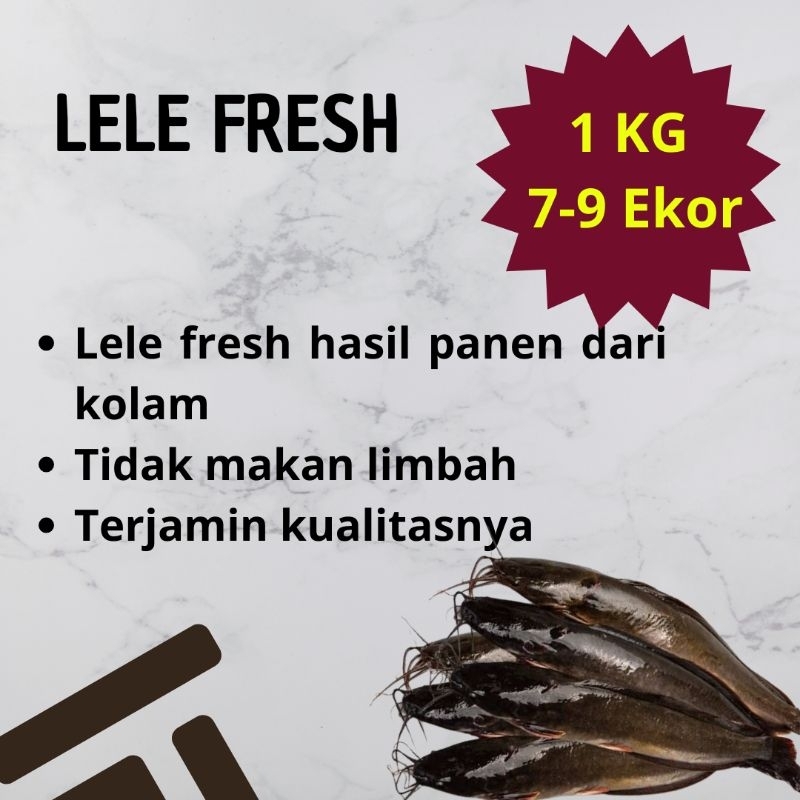 

Lele fresh, lele segar