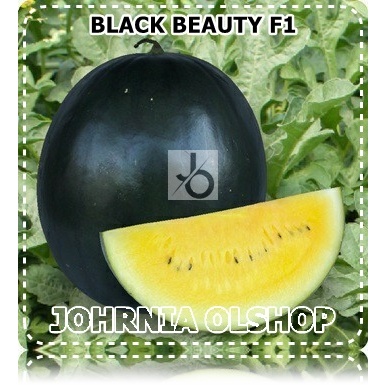 Johrnia 2 Benih Biji Semangka BLACK BEAUTY F1
