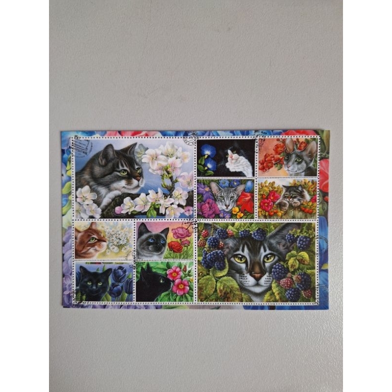 

kartu pos kucing/cat postcard