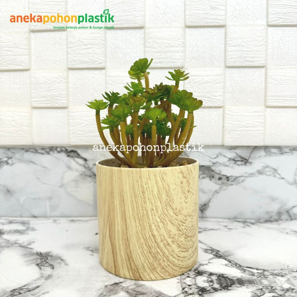 Tanaman Hias Mini Echeveria Sukulen Pot Melamine Motif Kayu Dekorasi Meja Kerja