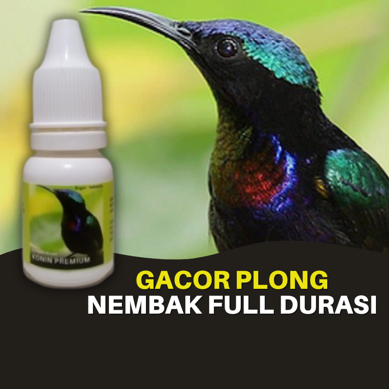 Vitamin Burung Konin Kolibri Ninja Premium Gacor Plong Nembak Full Durasi