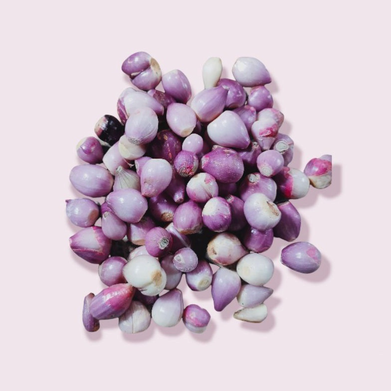 

[✐N29➤] Bawang Merah Kupas Bersih 500 gram Harga Baru