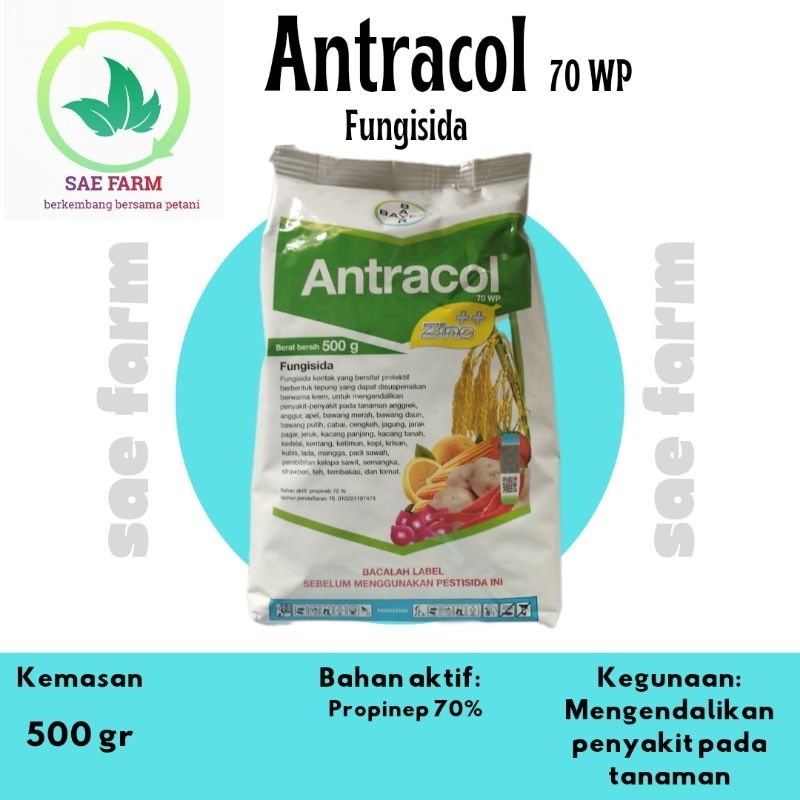Antracol 500 gr fungisida dgn bahan aktif propinep 70%