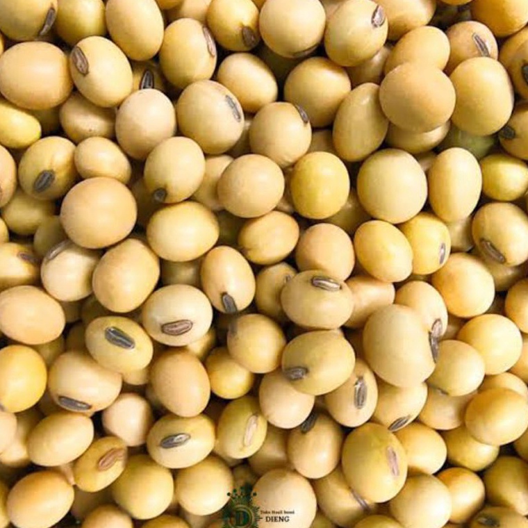 

Kacang Kedelai Super Import 1kg(grade.A)Kacang Kedelai Soybean Promo ⌒-