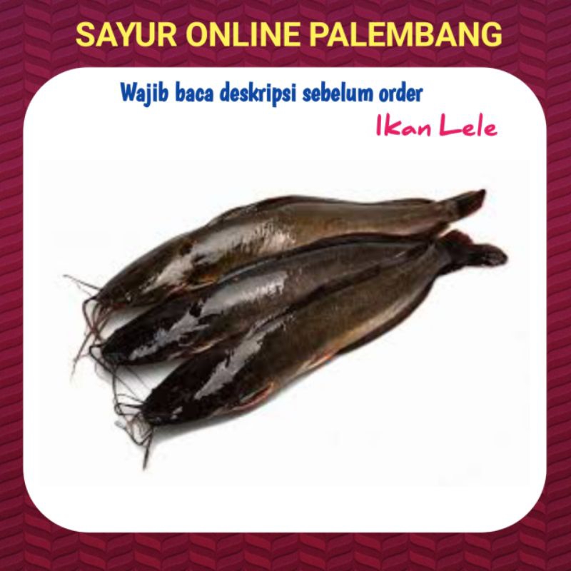 

Ikan Lele Segar - Pasar Toko Sayur Ikan Segar Online Palembang