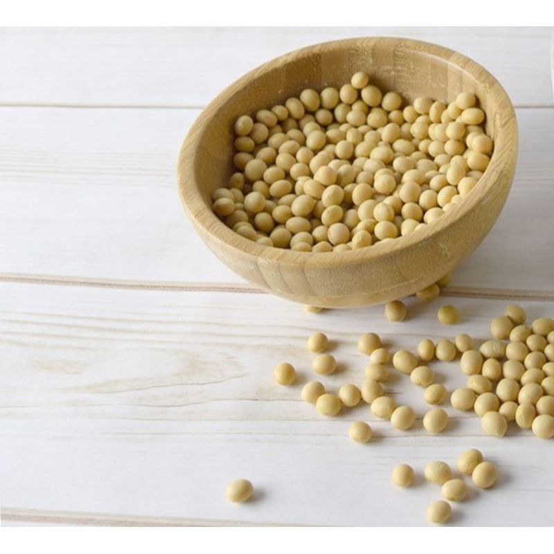 

20 biji kedelai lokal