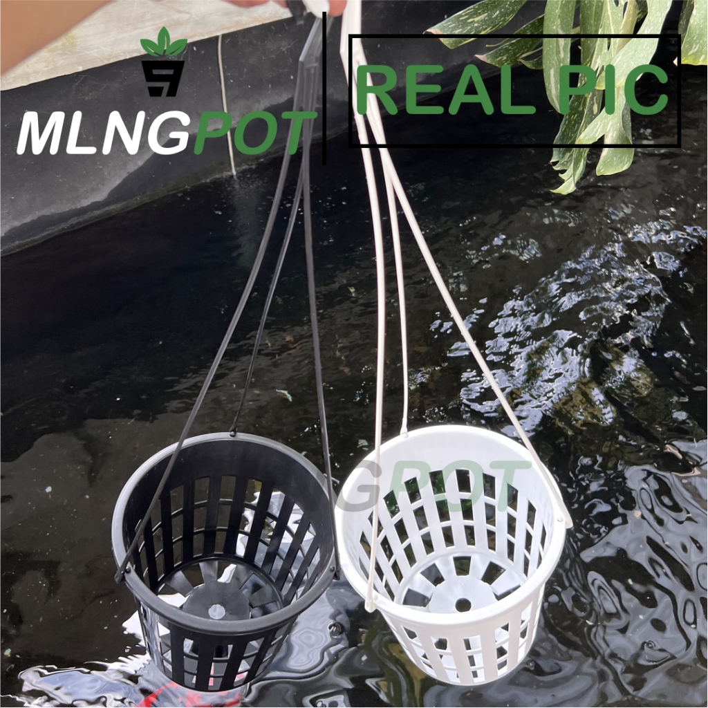 Sekar_Jenaka Pot Gantung Anggrek Gbl Vanda 20 Free Gantungan Pot Anggrek Jumbo