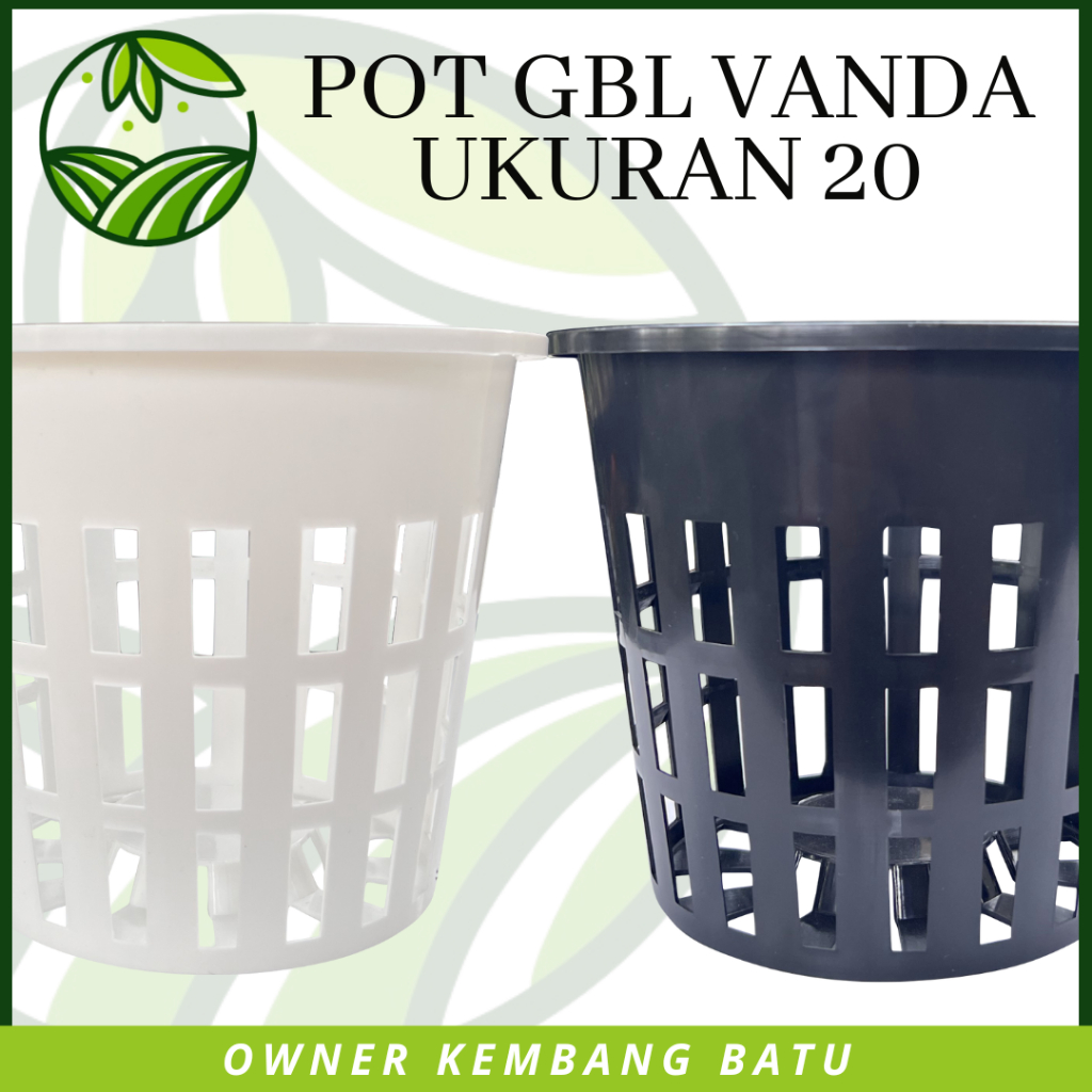 POT GBL ANGGREK VANDA 20 Pot Anggrek Besar Tanaman Anggrek