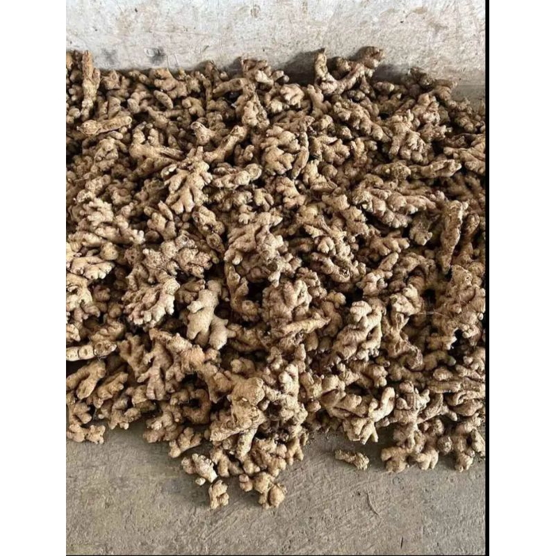 

Jahe segar 1kg / Rempah-Rempah / Bumbu Masak / Bumbu dapur / Bahan Jamu / Ramuan Herbal