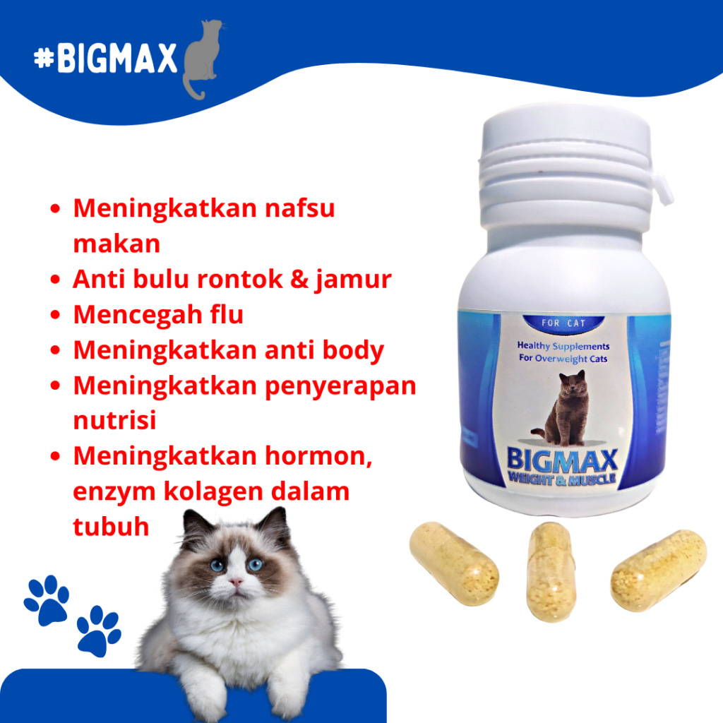 (RESELLER) BIGMAX VITAMIN NAFSU MAKAN KUCING PENGGEMUK 30 KAPSUL