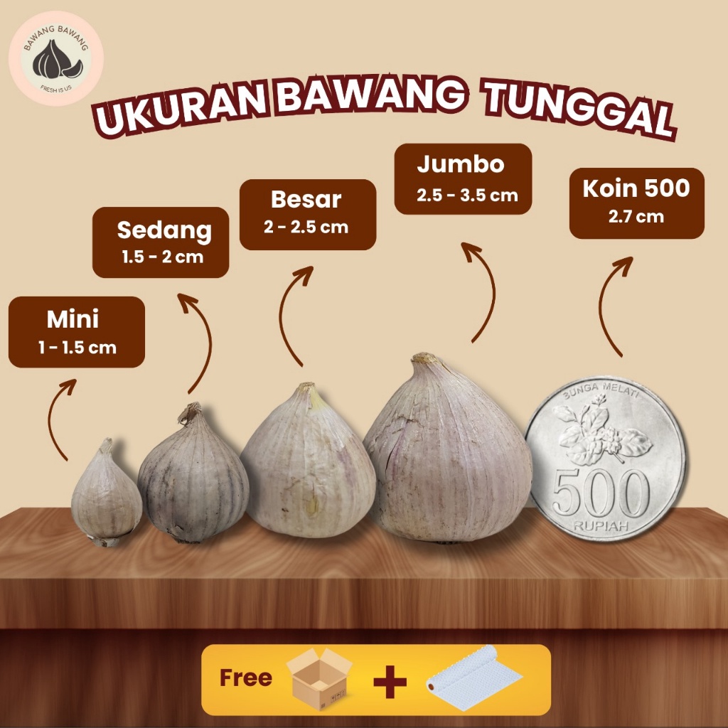 

Terbaik Bawang Putih Tunggal Lanang SEDANG 1.5-2 CM 100gr grosir