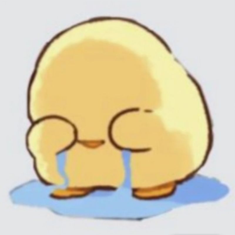 booked buku second sister