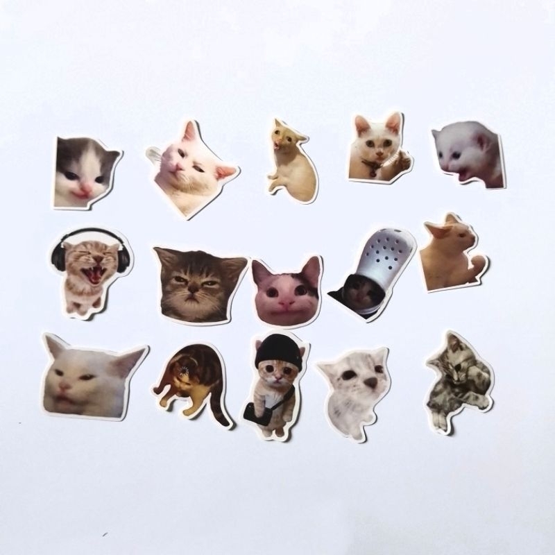 

[isi 15 pcs] sticker meme kucing / cat meme / sticker kucing / sticker cat / sticker meme / sticker gemes / sticker lucu / sticker meme pentol / sticker cute / sticker deco / sticker decoration / sticker journaling