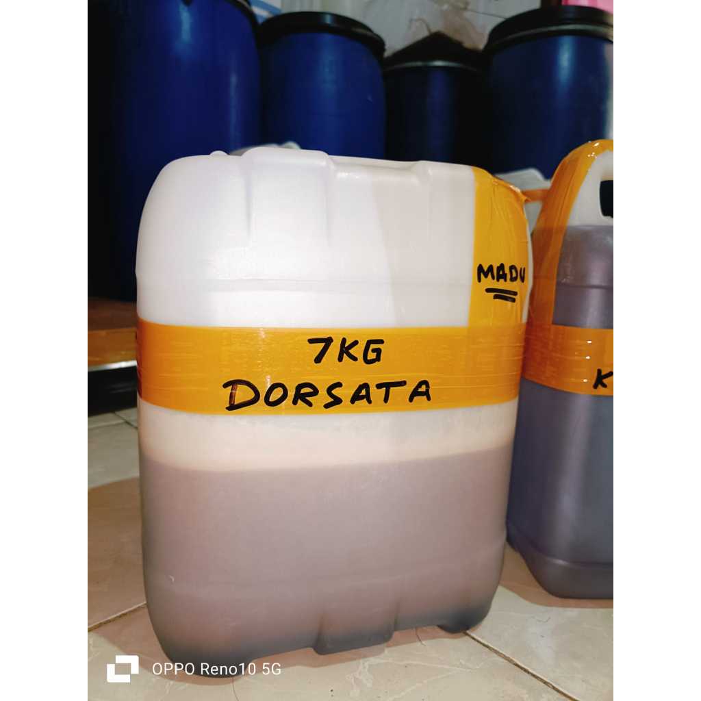 

madu dorsata sialang hutan