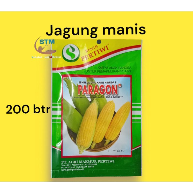 

Jagung manis paragon 200 butir