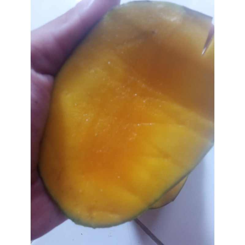 

mangga dr/mangga darmayu perkilo