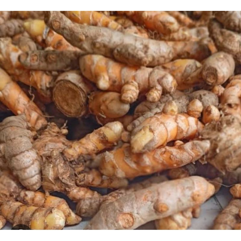 

kunyit segar super 500gr