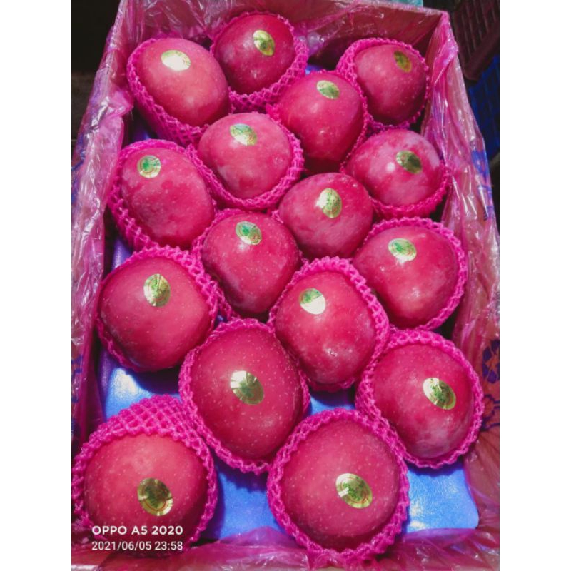 

apel Fuji Rosy 1kg/apel Fuji jumbo manis/buah bamdung