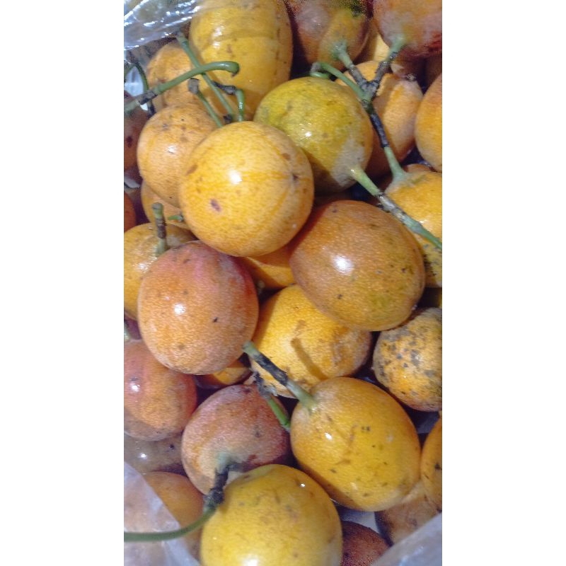Buah markisa Bali