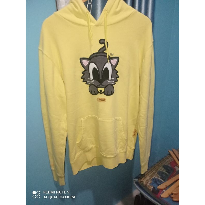 pancoat pop cat