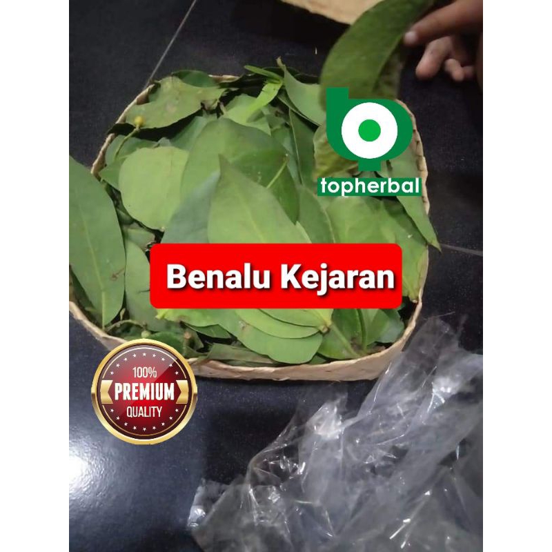 

Benalu Kejaran Kering Hijau 500 Gram