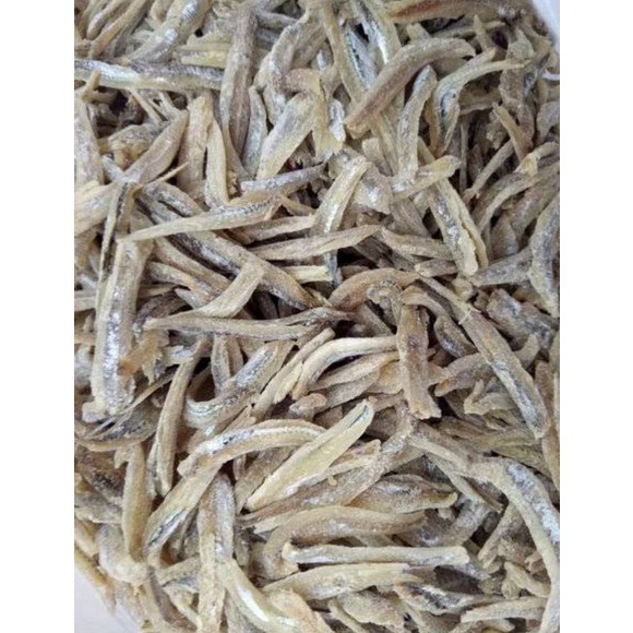 

Kode TQE336 Macam-macam Ikan Teri