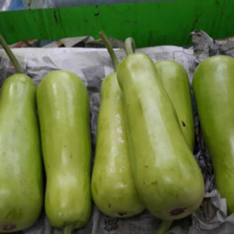 Labu Air/Labu Siam 1kg ±