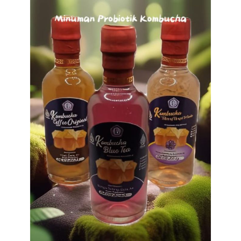 

Teh Kombucha