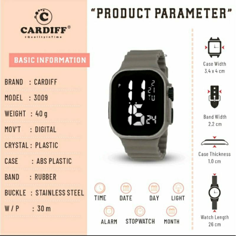 Jam Tangan Pria Cardiff Grey