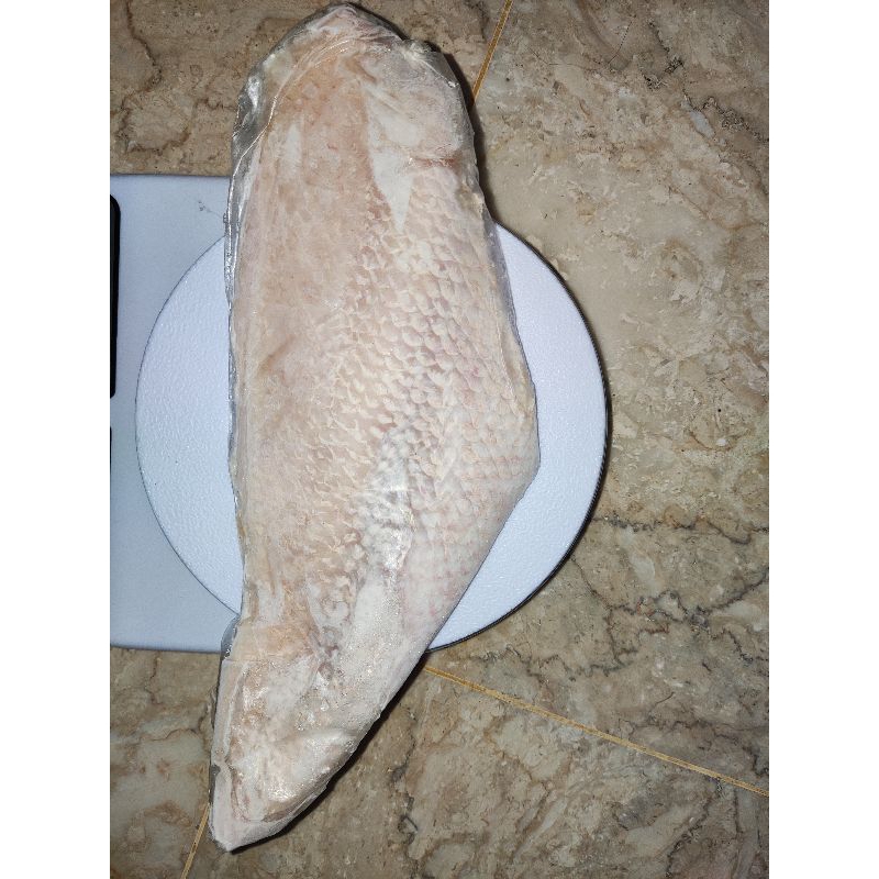 

Red Snapper Fillet ( Kakap Merah Fillet) Premium Quality 201 gr - 250 gr