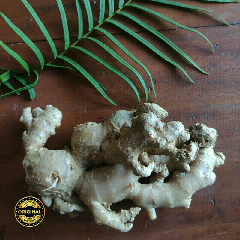 

jahe emprit segar resep sehat JSR rempah 500Gr