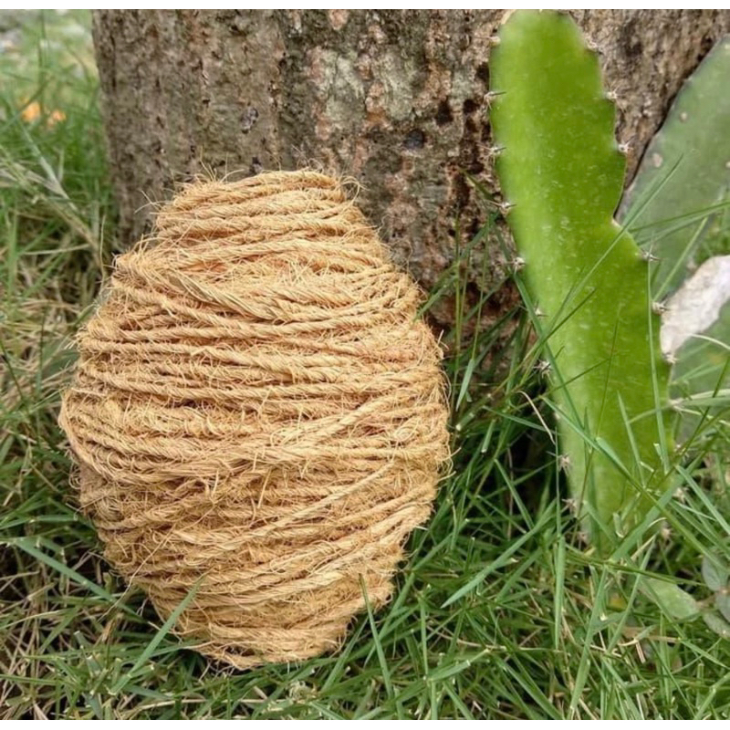 

tali rami goni sabut kelapa - media tanaman anggrek