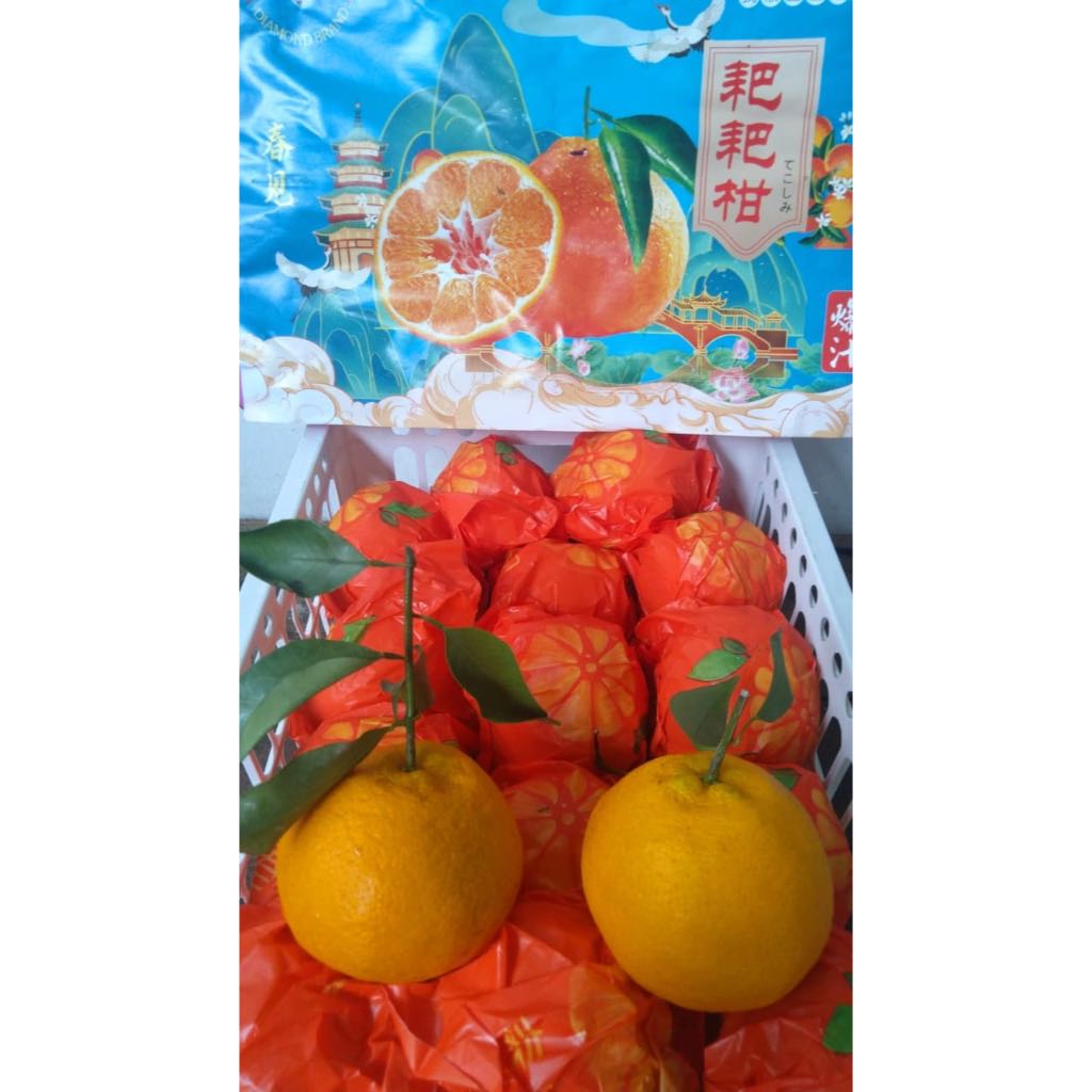 

JERUK PAPAGAN XL 7 KG FRESH IMPORT PER DUS