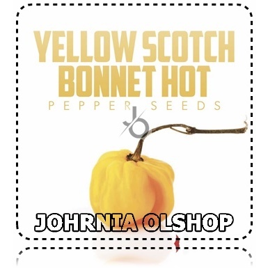 Johrnia 5 Benih Biji PEPPER Yellow Scotch Bonnet