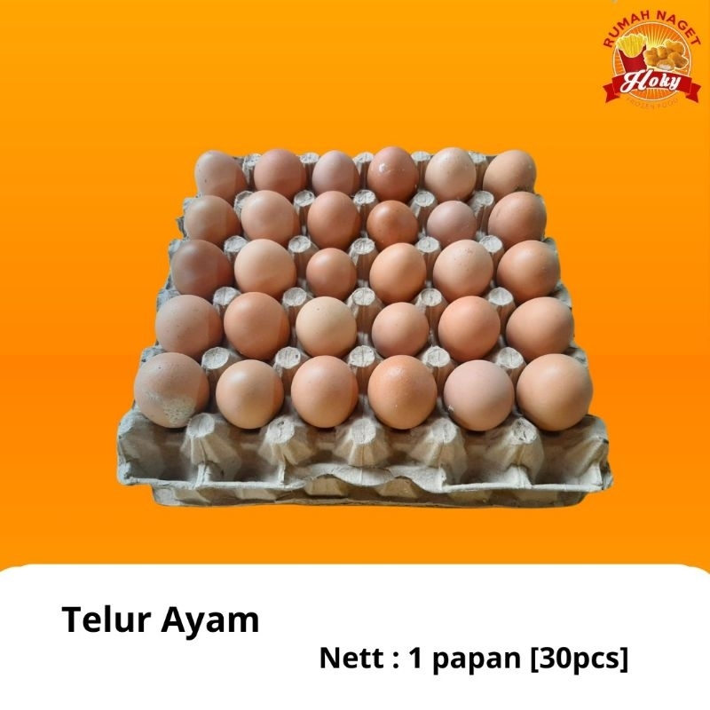 

Telur Ayam