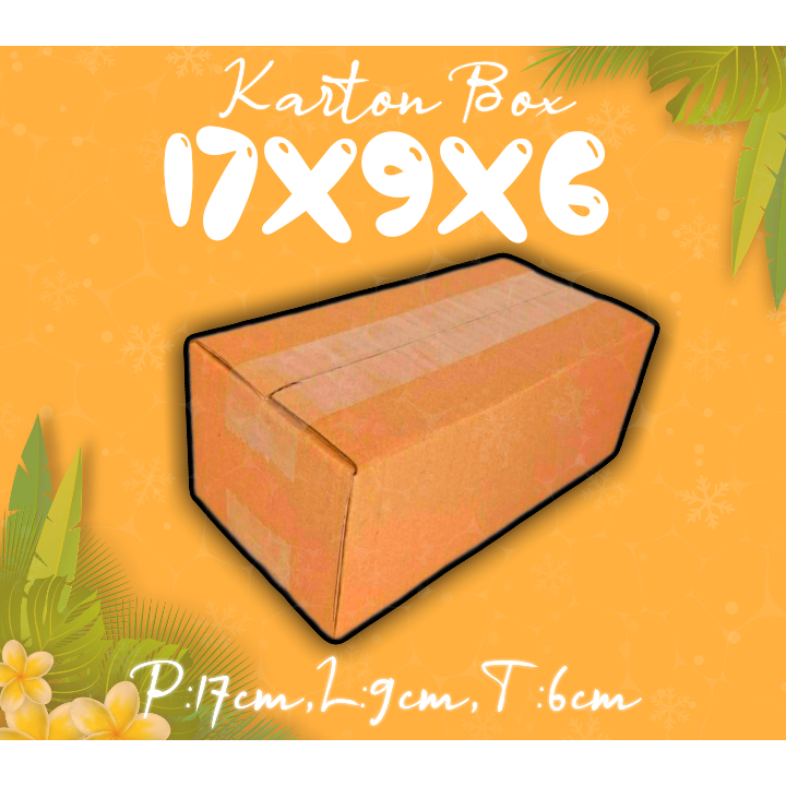 

KARTONBOX 17X9X6 (KARDUS PACKING/KARDUS POLOS/KARDUS MURAH)