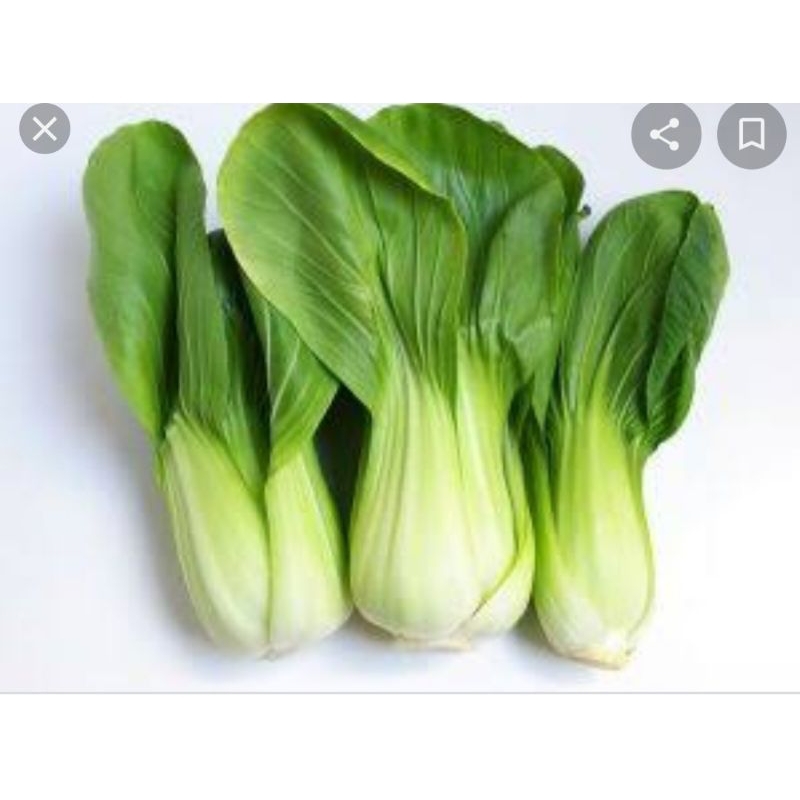 

pakchoy segar 250gr