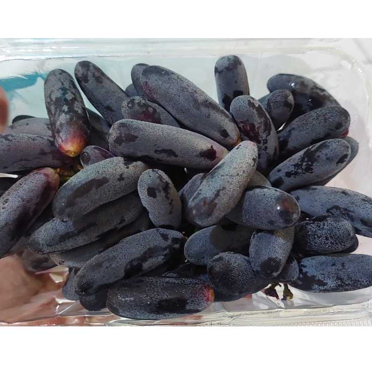 

ANGGUR MOONDROP 500GRAM