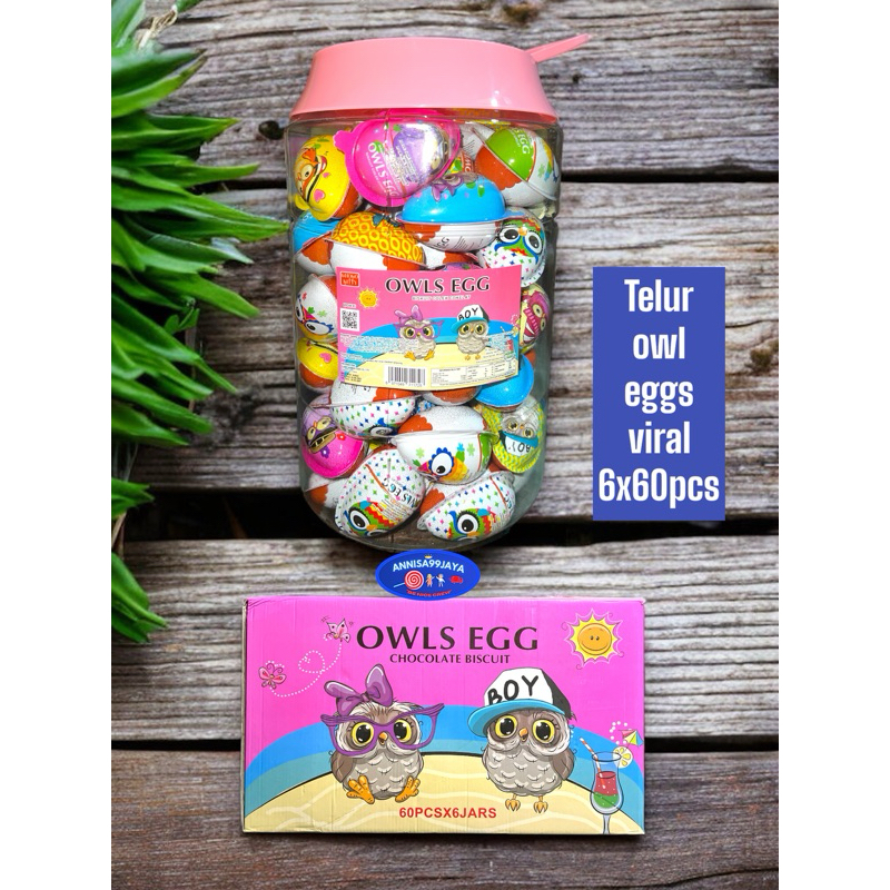 

OWL TELUR EGGS VIRAL 60PCS