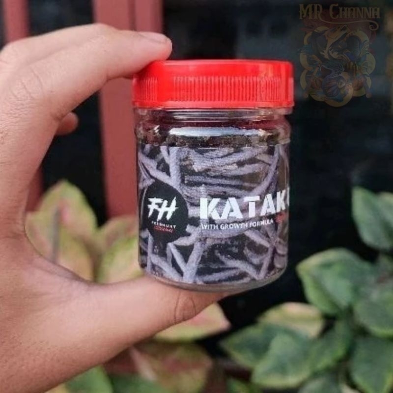 FEEDHUNT KATAK GILING, PAKAN AURANTI PELET KATAK KODOK MURNI KATAK SAWAH, HIGHFIN