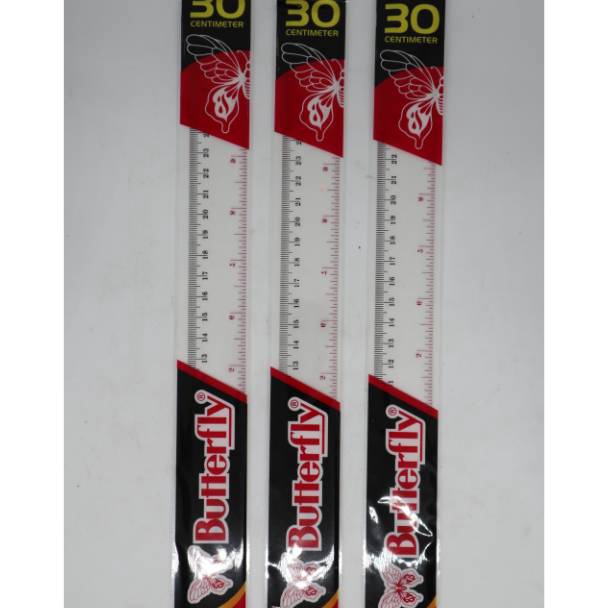 

T3rkini Penggaris Butterfly 30 cm Stock Ada