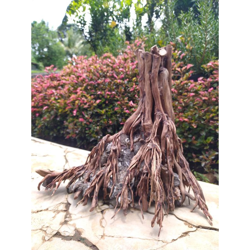 hardscape natural aquascape po1