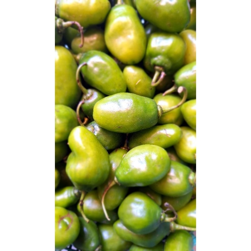

Cabe Gendot - Fresh