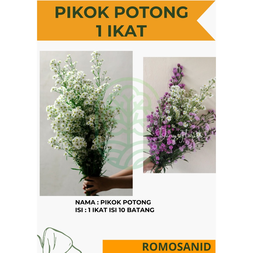 pikok potong 1 ikat - bunga pikok potong - ROMOSAN.ID