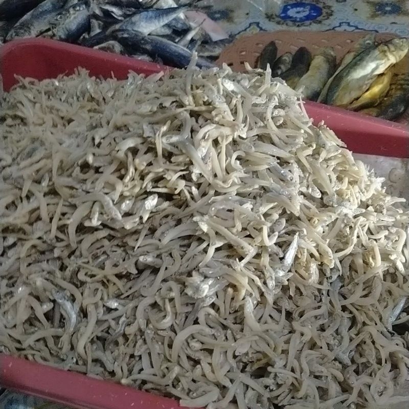 

Ikan Teri Nasi Asli Pantai Prigi Trenggalek