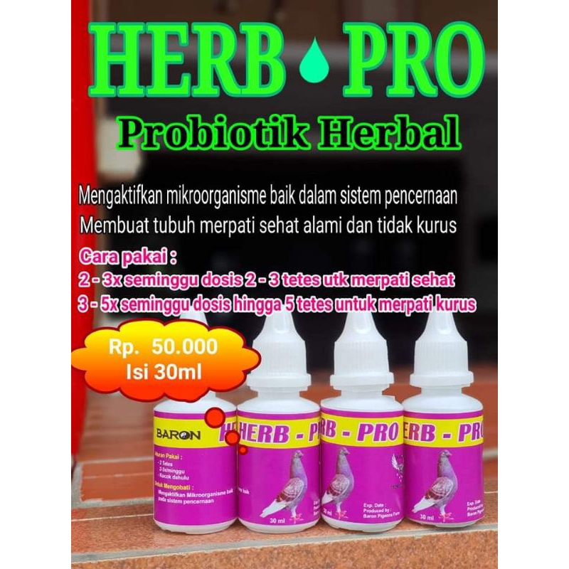 Herb-pro,her-pro baron, jamu baron, jamu merpati baron